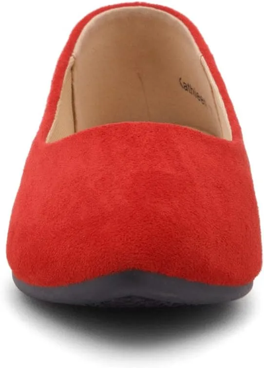 Shoe Land Womens SL-Kathleen Ballet Flats Pointed Toe Flat Shoes Classic Ballerina Comfort Dressy Shoes for Daily Work Office